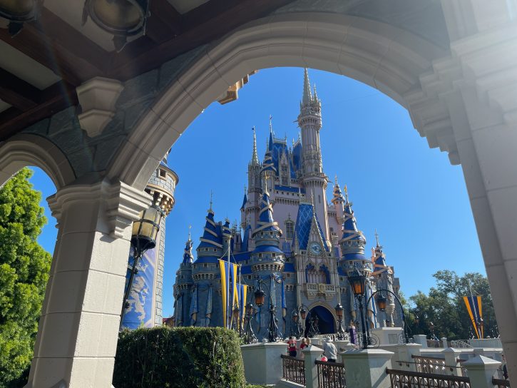 Magic Kingdom Castle