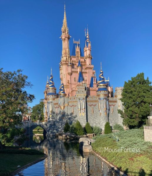 Marriage Proposal at Walt Disney World Castle