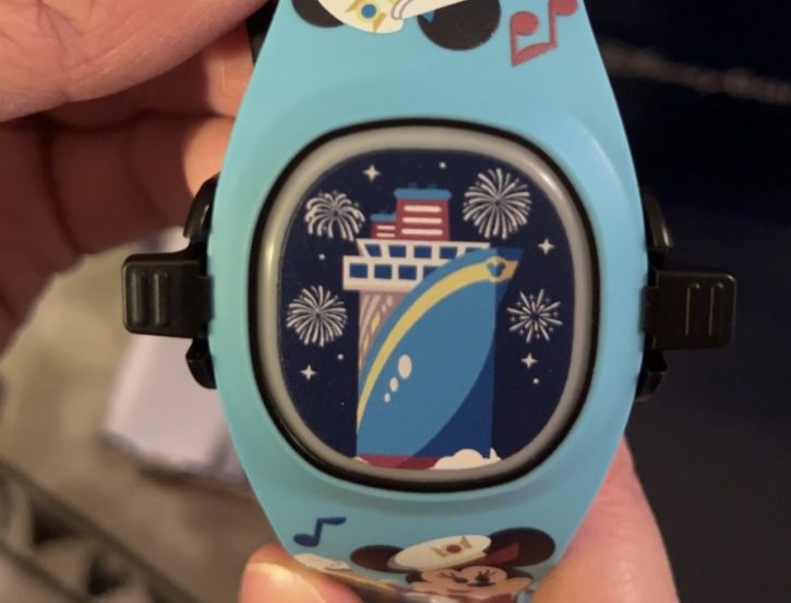 DisneyBand+