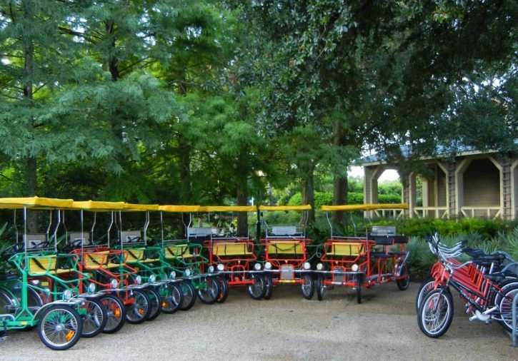 Bike Rentals at Port Orleans Riverside
