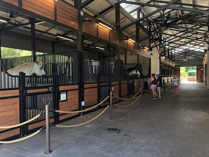 Fort Wilderness Resort and Campground Horses