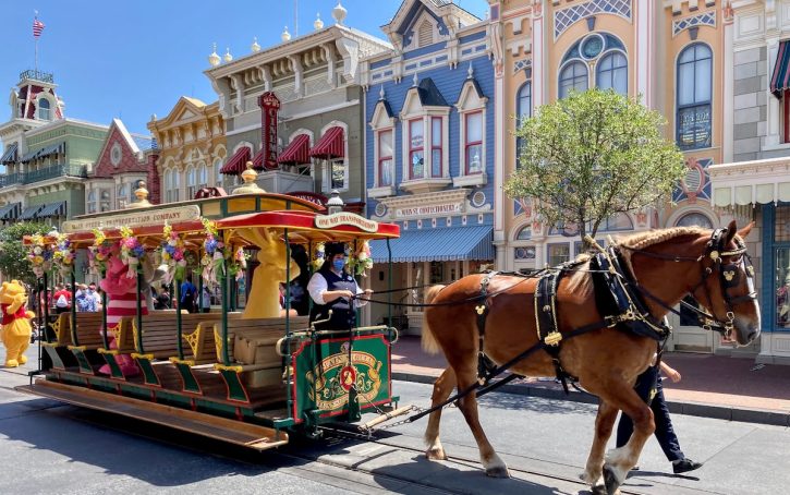 Live entertainment Main Street Magic Kingdom