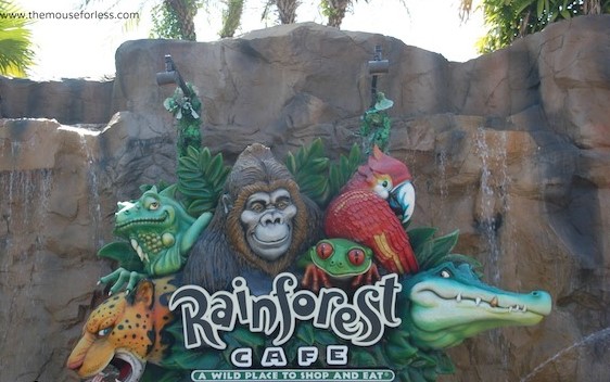 Rainforest Cafe Disney Springs