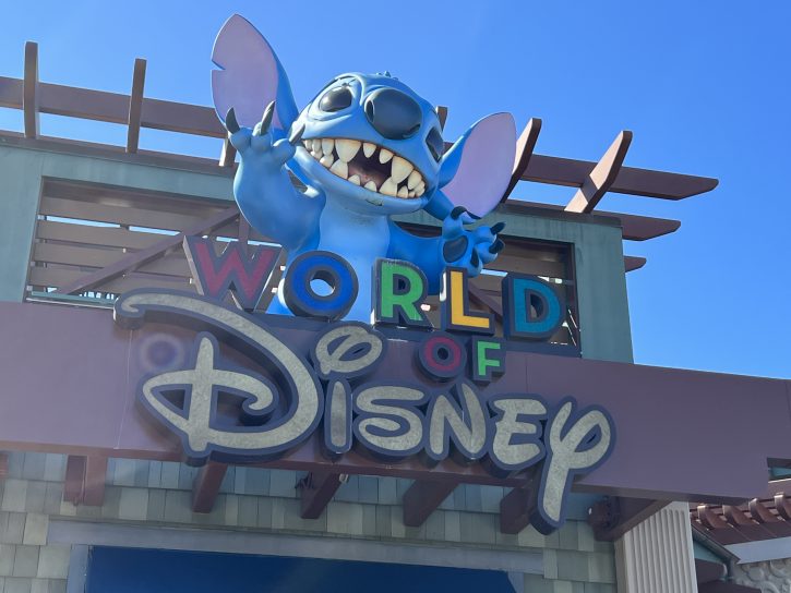 Souvenir Budget at Walt Disney World