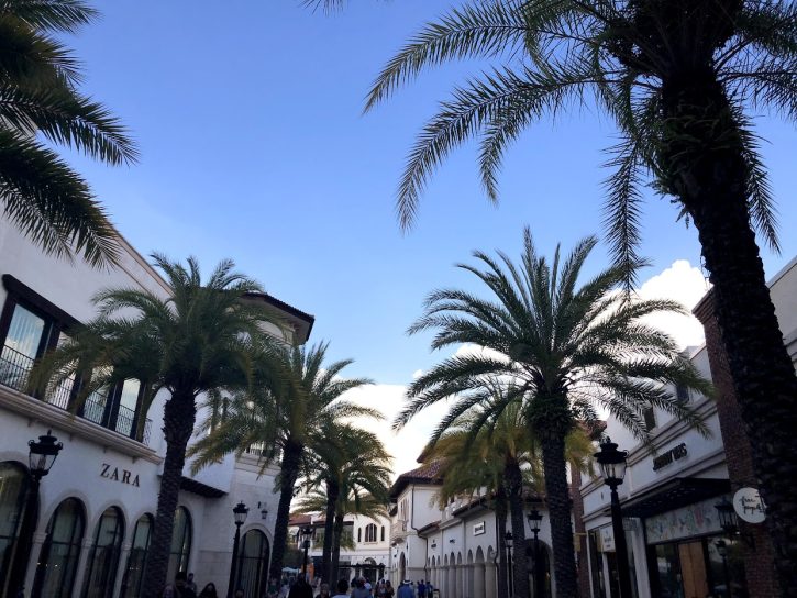 Town Center Shopping