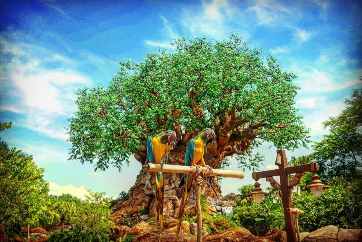 Animal Kingdom