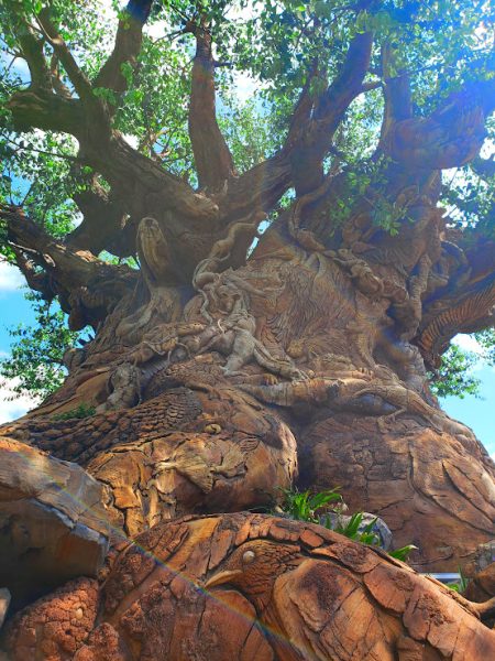 Animal Kingdom