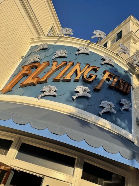 Flying Fish Disney