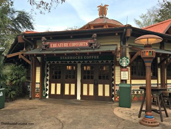 Starbucks Creature Comforts Animal Kingdom