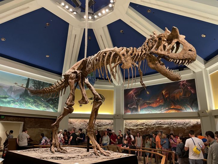 Dinosaur