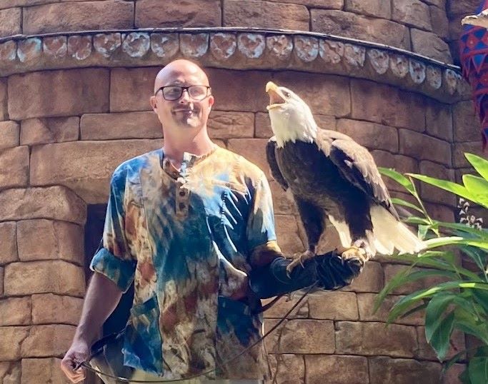 Feathered Friends in Flight Show Animal Kingdom