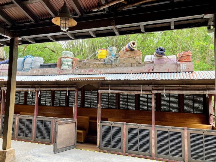 Wildlife Express Train Disney Animal Kingdom