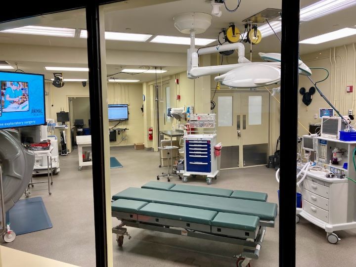 Animal Kingdom Conservation Station Exam Room
