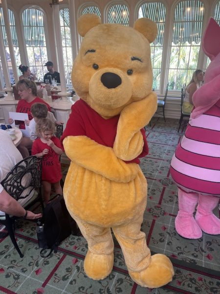 Character Dinner Magic Kingdom