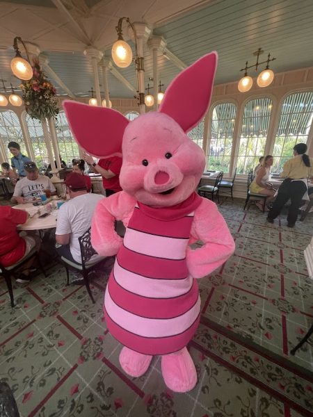Piglet at Crystal Palace in Magic Kingdom