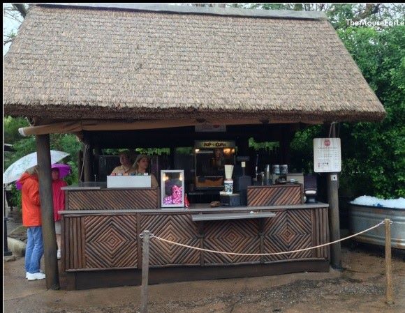 Mahindi Disney's Animal Kingdom