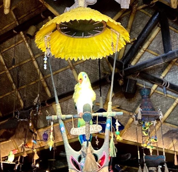 Enchanted Tiki Room Walt Disney World