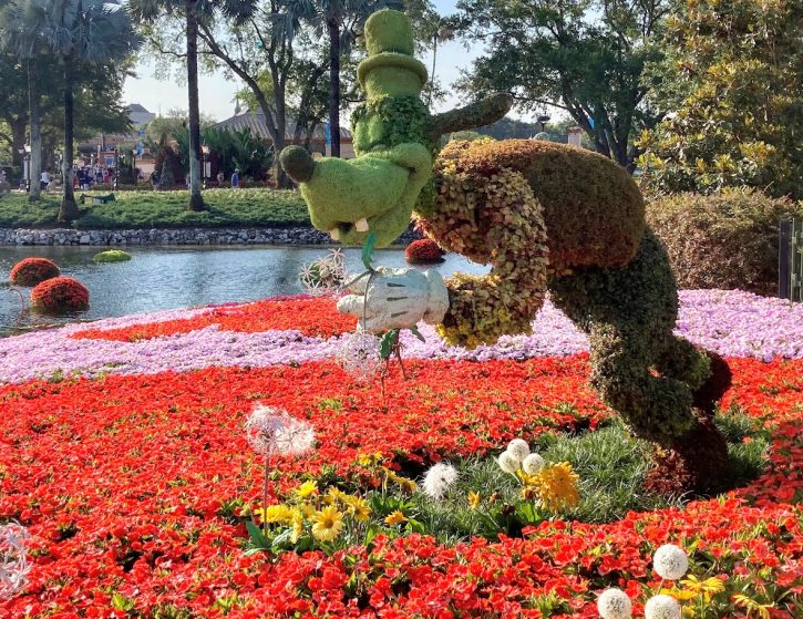 Asthma Walt Disney World