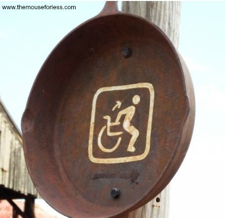 Walt Disney World with Special Needs