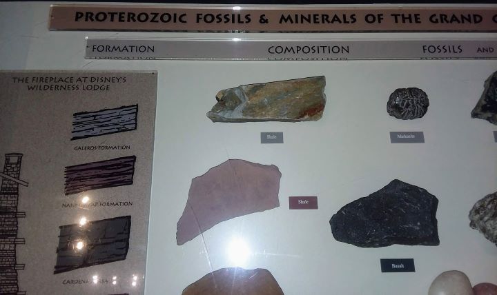 Wilderness Lodge Fossils Walt Disney World