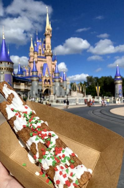 Churros at Magic Kingdom