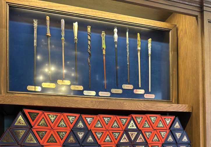 Epic Universe Magic Wands