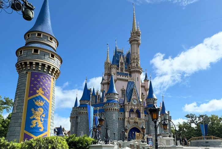 Magic Kingdome Castle 