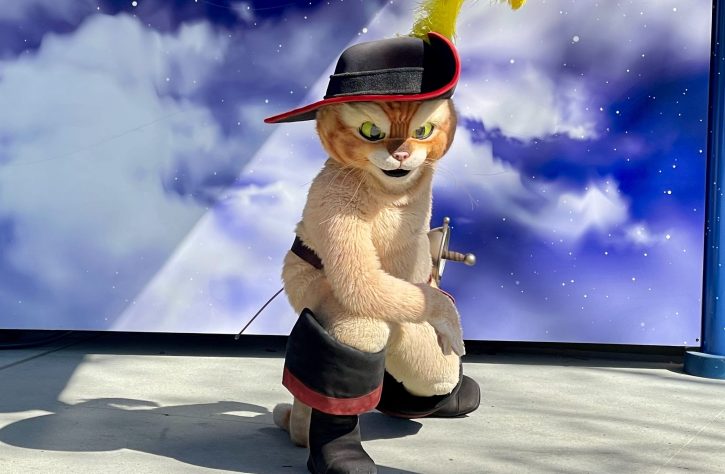 Universal Orlando Puss