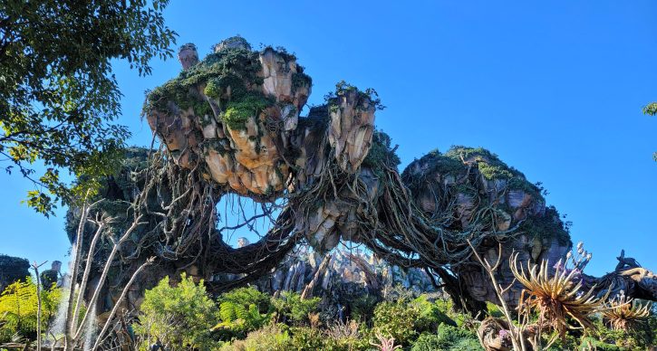 Pandora