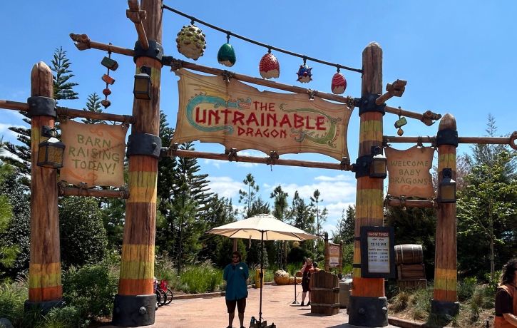 The Untrainable Dragon