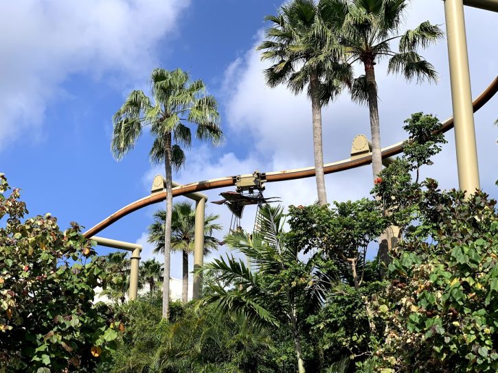Pteranodon Flyers