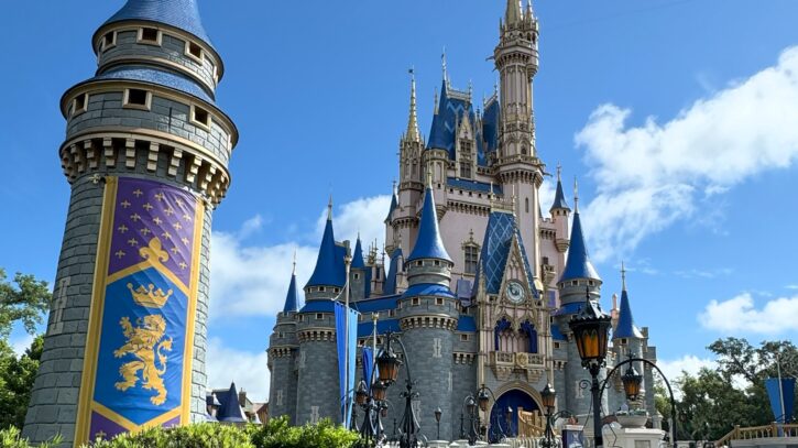 Magic Kingdom Castle