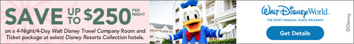 Walt Disney World Spring Offer