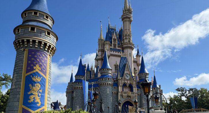 Magic Kingdom Castle
