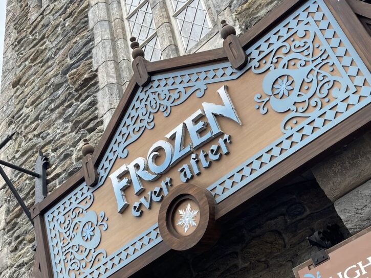 Rope Drop Frozen Ever After