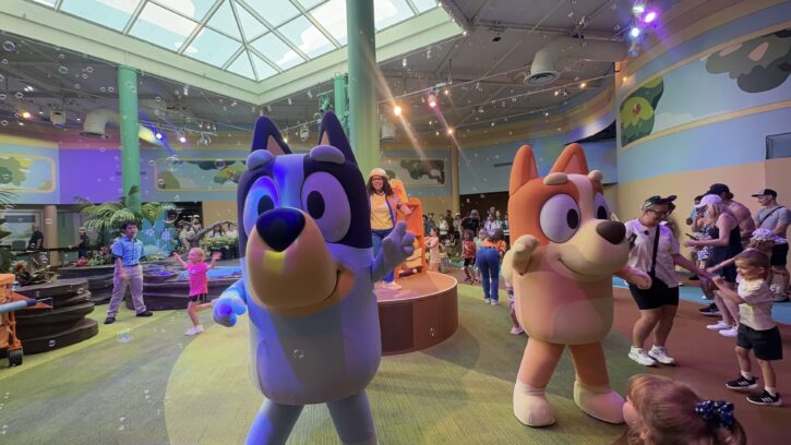 Bluey's Wild World