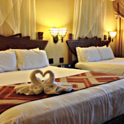 Animal Kingdom Lodge Standard Room