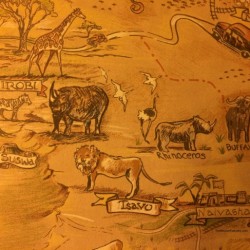 Animal Kingdom Lodge Standard Room