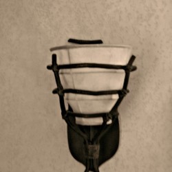 Animal Kingdom Lodge Standard Room