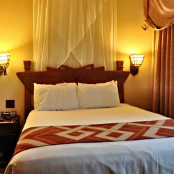 Animal Kingdom Lodge Standard Room